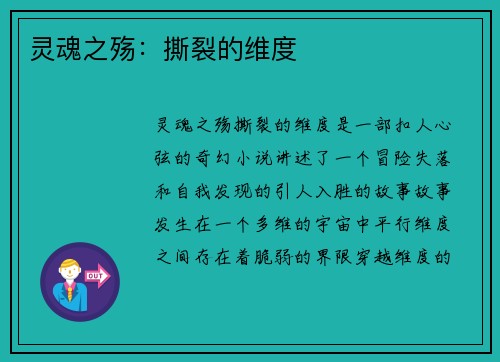 灵魂之殇：撕裂的维度